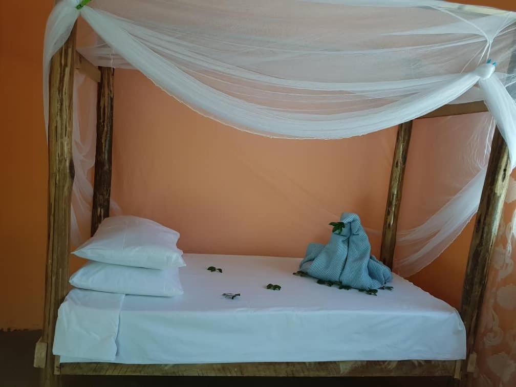 Michamvi Dreams Of Mapacha B&B 외부 사진